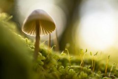 3天起量！Facebook广告冷启动实操复盘