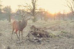 Google Ads质量得分优化：降低CPC的核心方法