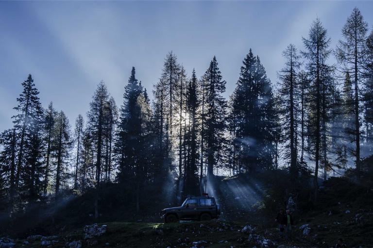蓝标认证一定要买系统吗?WS认证省钱出标方案详解